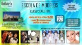montagem de blogs de nicho